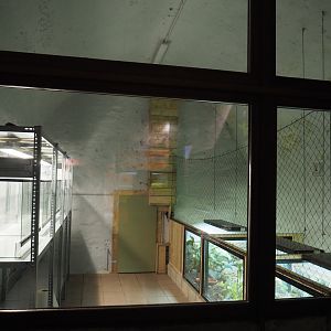 Amphibian breeding room, 2020-09-03