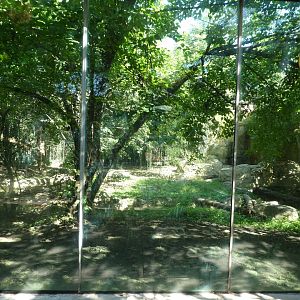 Big Cat Falls - Snow Leopard Exhibit