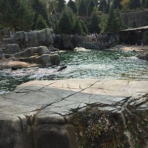 Owen's Sea Lion Shores - Sept. 2020