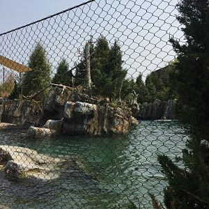 Owen's Sea Lion Shores - Sept. 2020