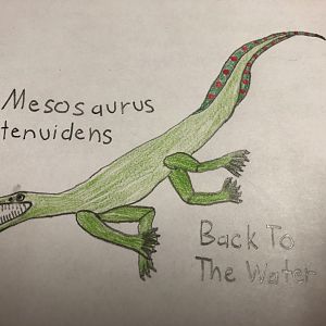 Mesosaurus tenuidens