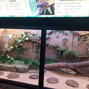 Exhibit for carpet python