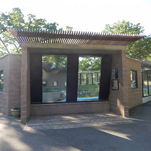 6/5/2020 - River Otter Habitat Viewing Area