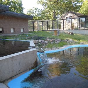 6/5/2020 - River Otter Habitat