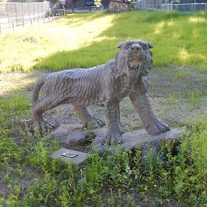 6/5/2020 - Tiger Statue