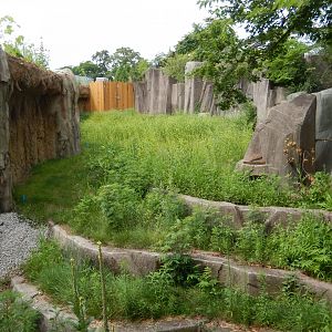 7/19/2020 - Hippo Garden