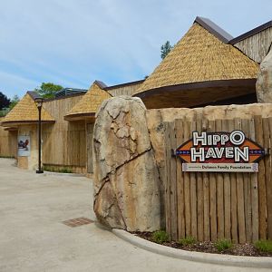 7/19/2020 - Hippo Haven Entrance Area