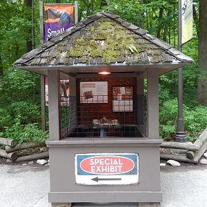 7/19/2020 - Dino Egg Display