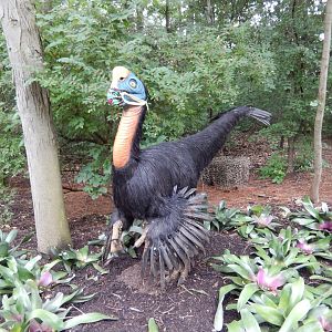 7/19/2020 - Citapati Practicing Social Distancing