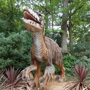 7/19/2020 - Utahraptor
