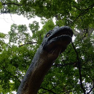 7/19/2020 - Living Tower Amongst the Towering Forest
