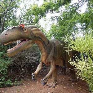 7/19/2020 - Allosaurus