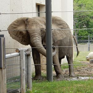 7/19/2020 - Belle's Mudbath