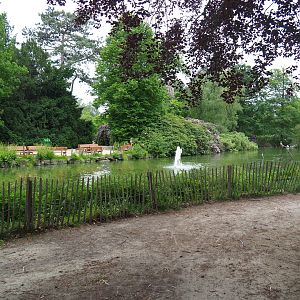 Dalmatian pelican pond, 2020-05-23