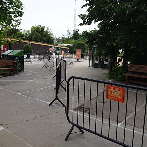 Social distancing barriers and floor markings in the entrance area, 2020-05-23