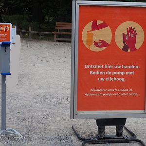 Covid-19 hand disinfection station, 2020-05-23