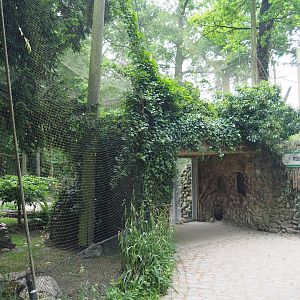 Access to the European aviary with Eurasian beaver den viewing windows, 2020-05-23