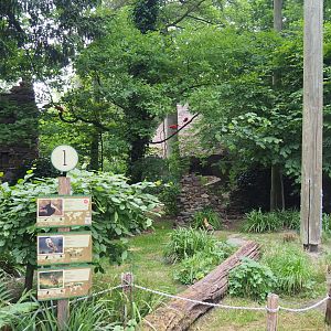 European aviary with waldrapp and owls, 2020-05-23