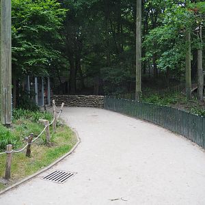 Walkway in the European aviary, between the Elbe European beaver exhibit and the bird area, 2020-05-23