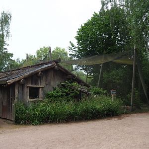 Australian bird house and Australian waterfront aviary, 2020-05-23