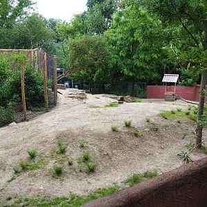 Part of Emu, Red kangaroo and Swamp wallaby paddock, 2020-05-23