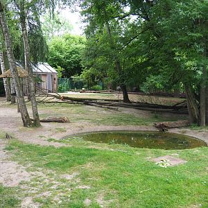 Emu, Red kangaroo and Swamp wallaby paddock, 2020-05-23