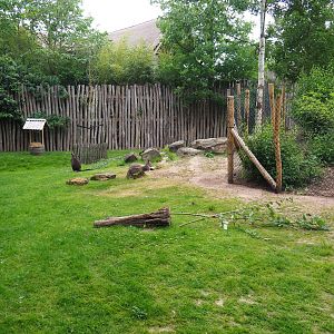 Part of the Emu, Red kangaroo and Swamp wallaby paddock, 2020-05-23