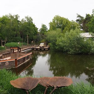 View of Australian area from the giant cassowary-shaped viewing point 2020-05-23