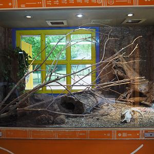 Children's python terrarium, 2020-05-23