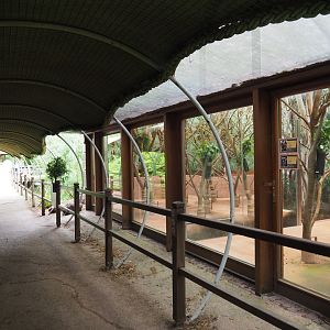 Viewing area Queensland koala house, 2020-05-23