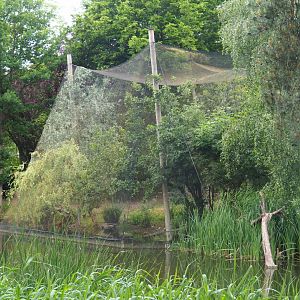 Australian waterfront aviary, 2020-05-23
