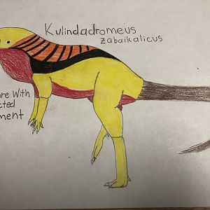 Kulindadromeus zabaikalicus