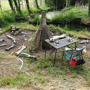 African area theming - Elephant skeleton dig site, 2020-05-23
