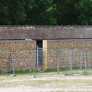 Mhorr gazelle stable building with temporary pen, 2020-05-23