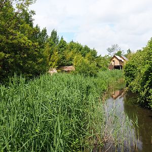 Park view in the Asian section, 2020-05-23