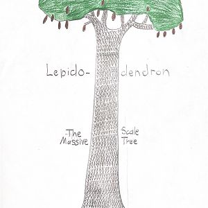 Lepidodendron