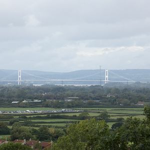 View of the Prince of Wales Bridge from Wild Place