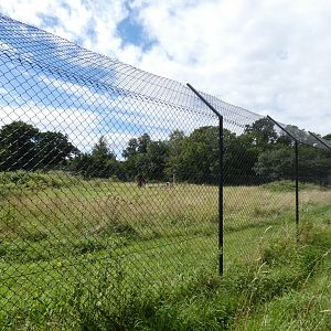 Back of Cheetah enclosure