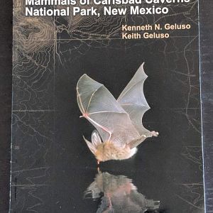 Mammals of Carlsbad Caverns National Park, New Mexico