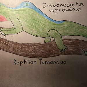 Drepanosaurus unguicaudatus