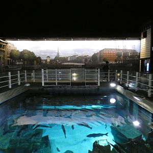 Bristol harbour exhibit