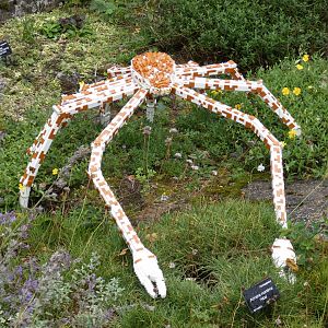 Lego Spider Crab