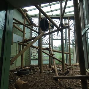 Lion-tailed Macaque indoor enclosure