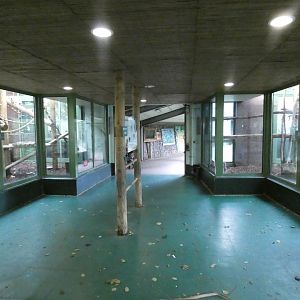 Monkey Jungle viewing area