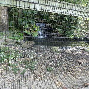 Sandhill Crane Exhibit