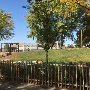 Plains - New! Tembo Camp - African Elephant Exhibit