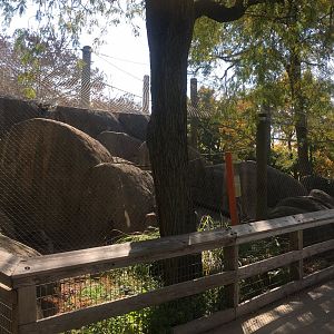 Plains - Guinea Baboon Exhibit