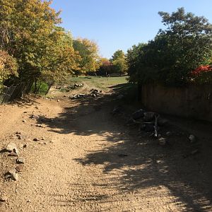 Plains - Savanna View