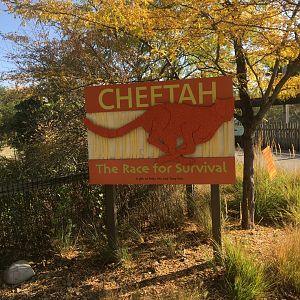 Plains - Cheetah: The Race for Survival Sign