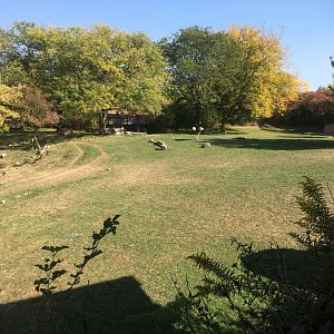 Plains - Main Savanna Overview